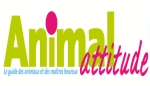 Animal attitude parle de dressemonchien.com